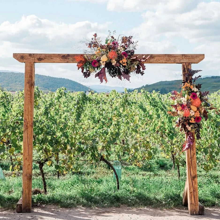 Mariage Alsace Domaine Achillée dans les vignes