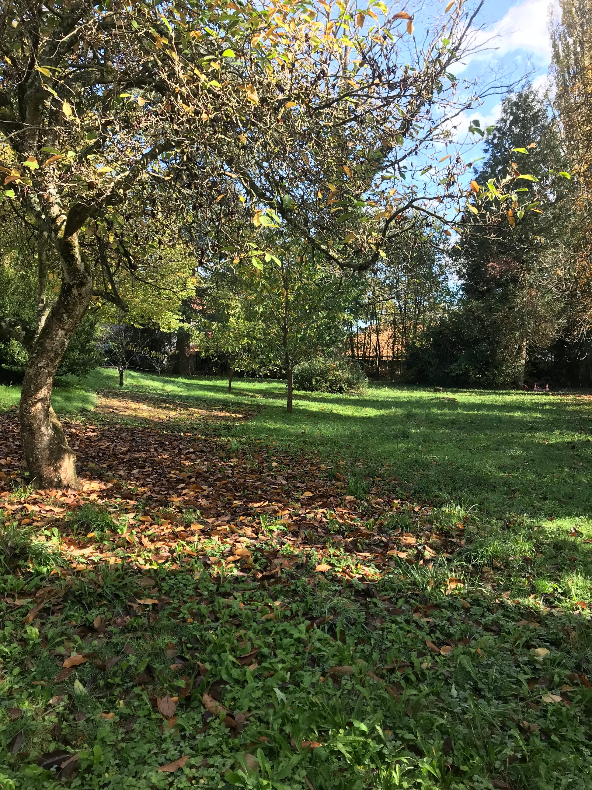 Parc Mariage Château Lacour