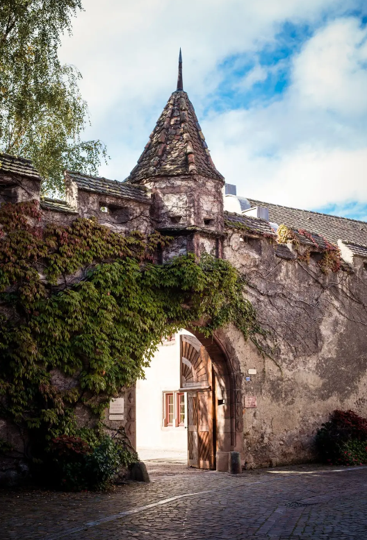 Mariage Château de la Confrérie en Alsace