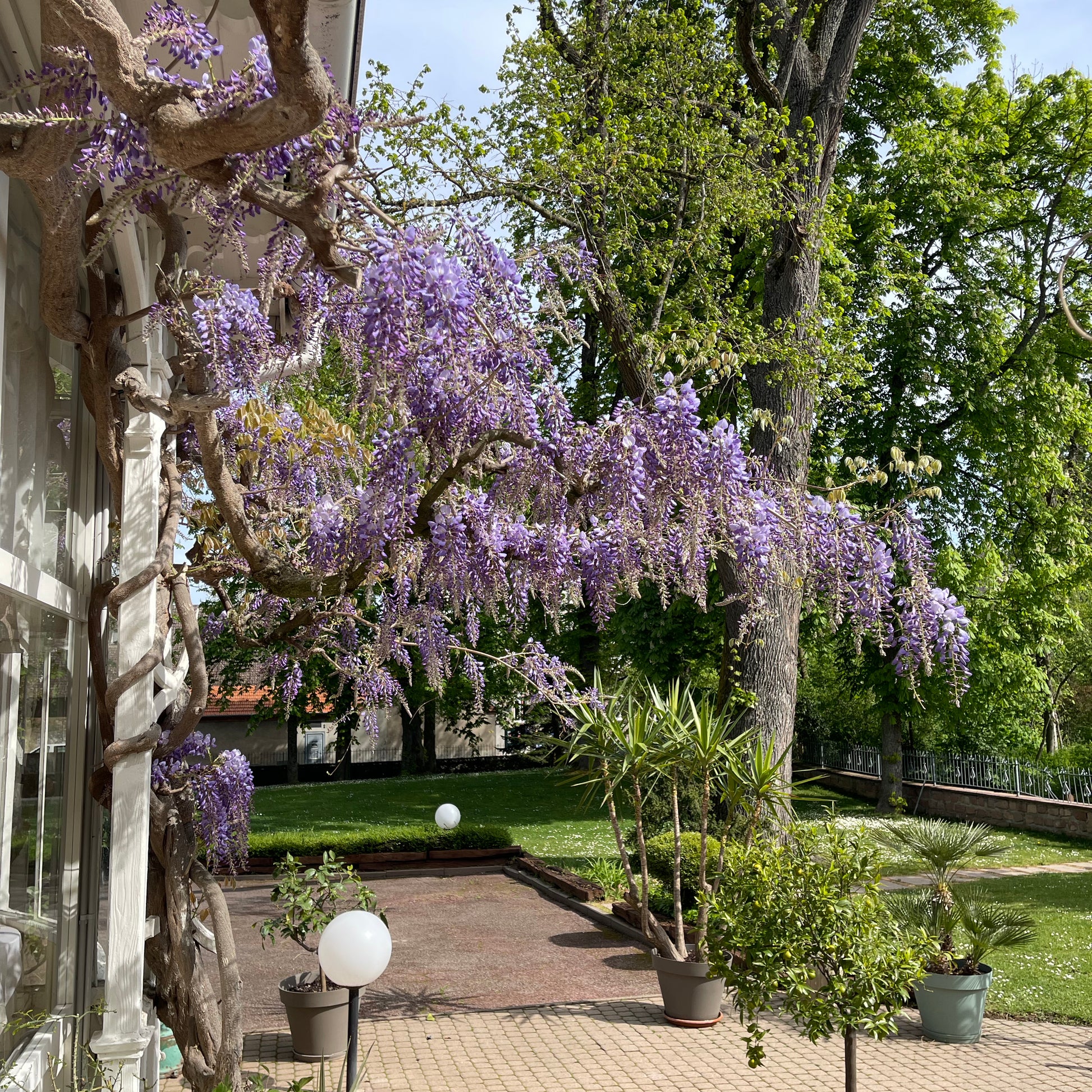 Jardin romantique pour mariage en plein air à la Villa du Parc à Mulhouse