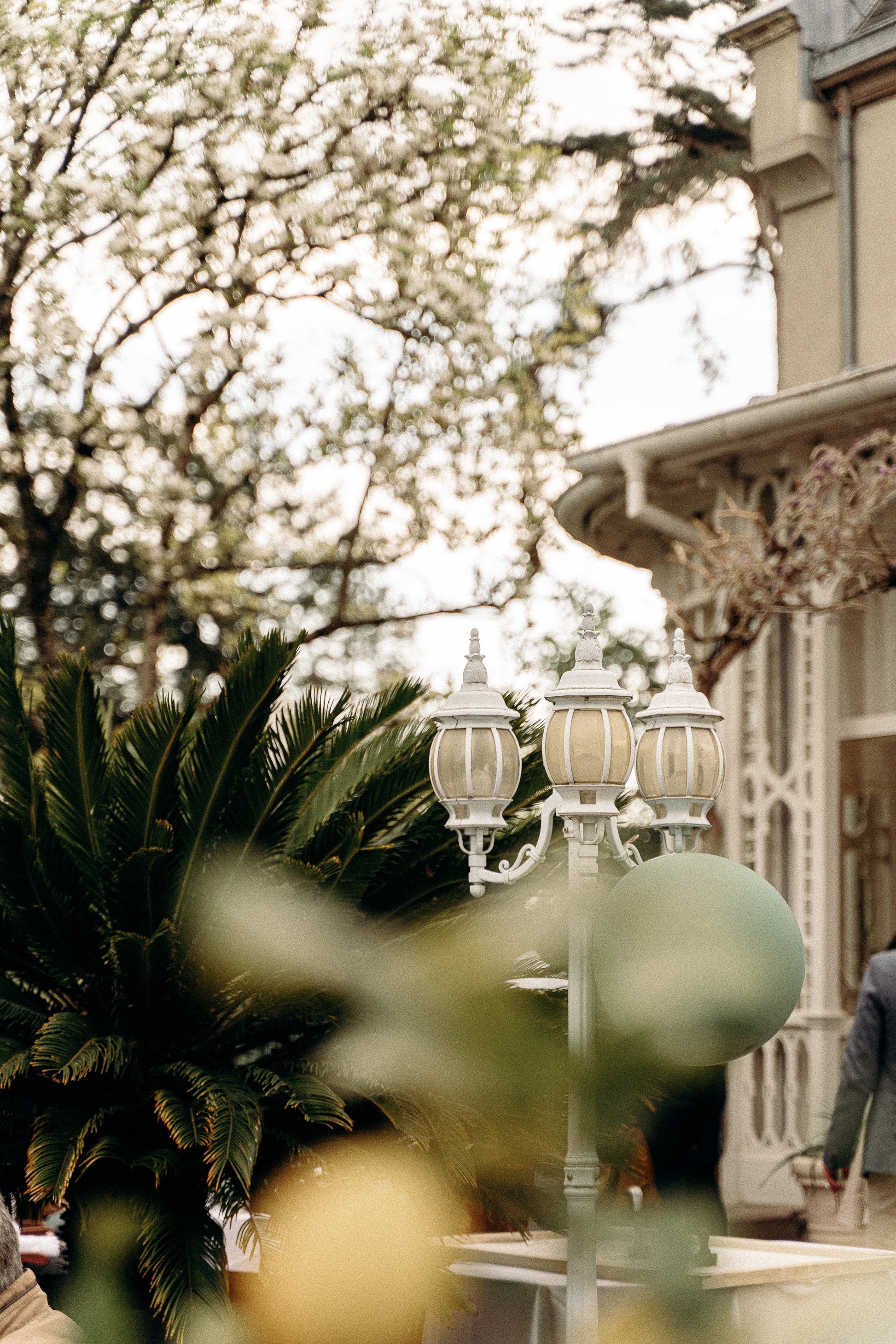 Parc arboré pour cérémonie laïque et cocktail à la Villa du Parc en Alsace