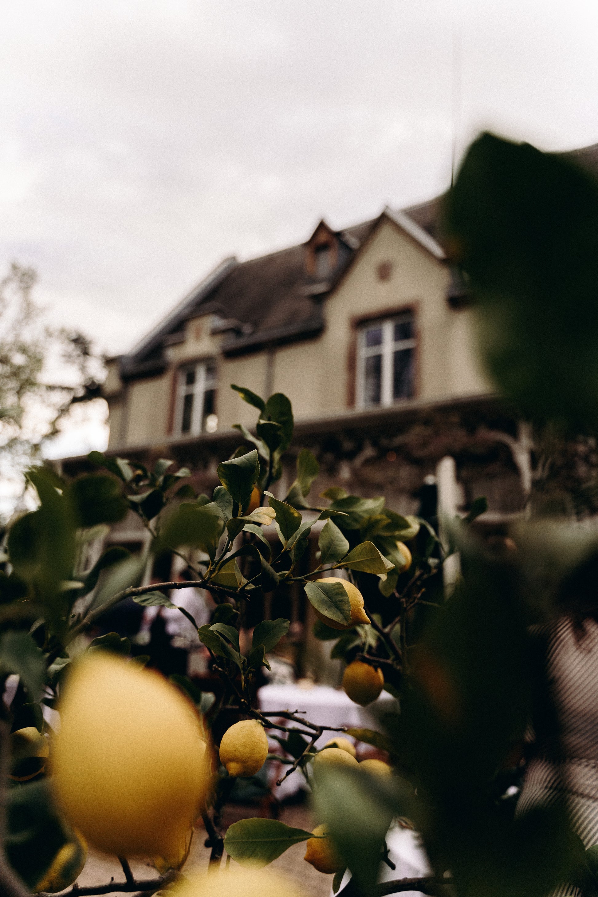 Parc arboré pour cérémonie laïque et cocktail à la Villa du Parc en Alsace