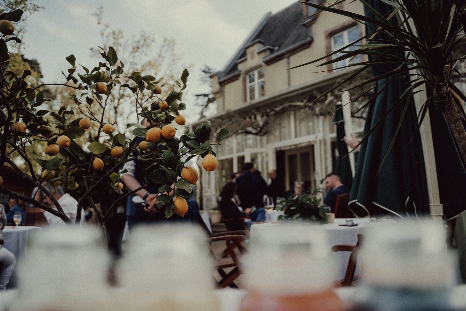 Jardin romantique pour mariage en plein air à la Villa du Parc à Mulhouse
