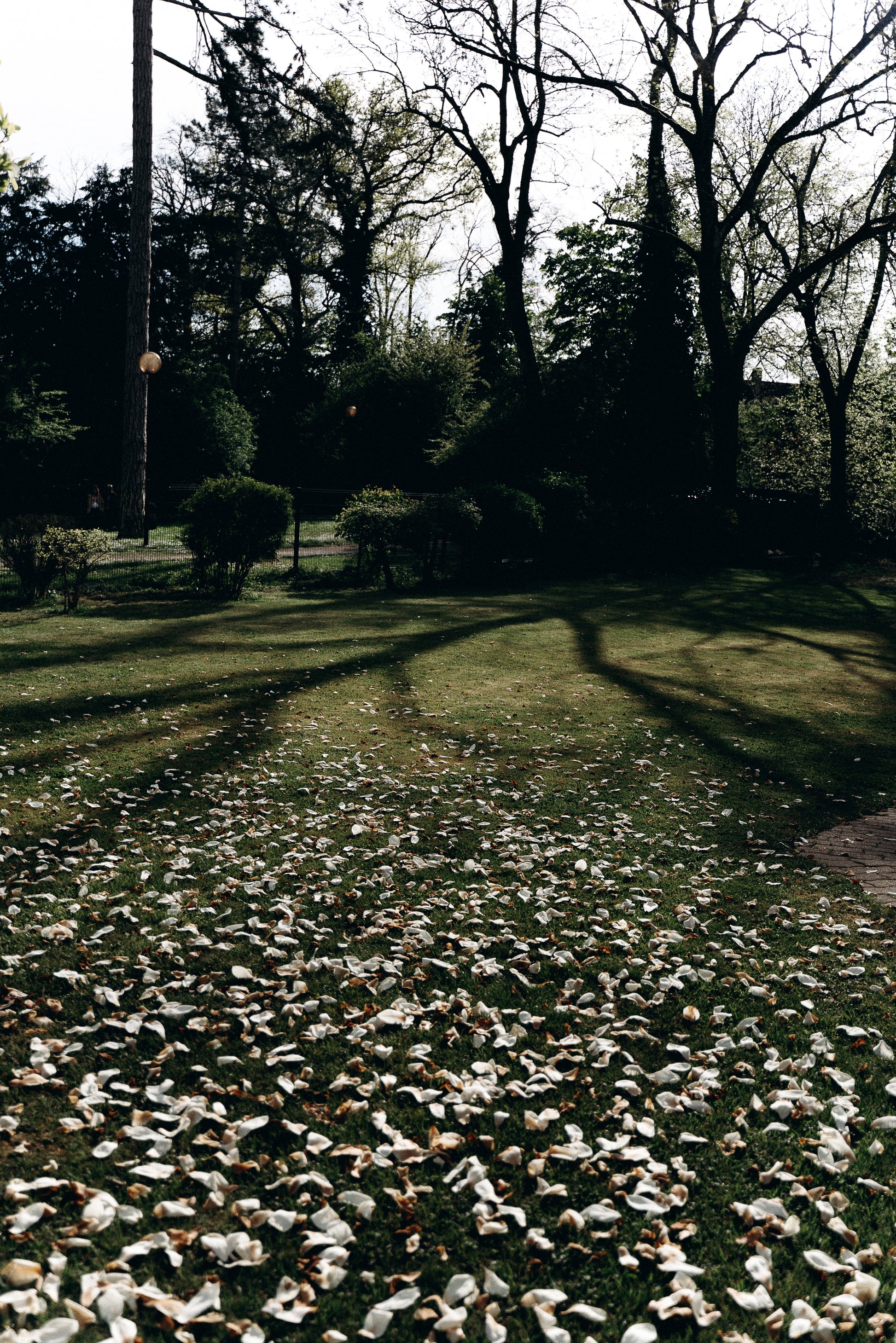 Jardin romantique pour mariage en plein air à la Villa du Parc à Mulhouse