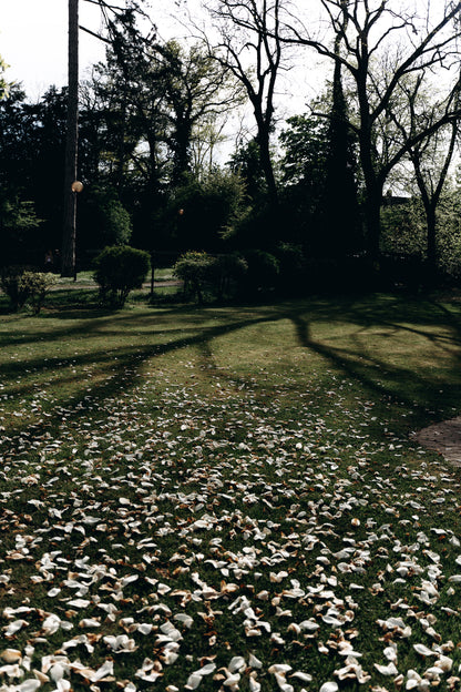 Jardin romantique pour mariage en plein air à la Villa du Parc à Mulhouse