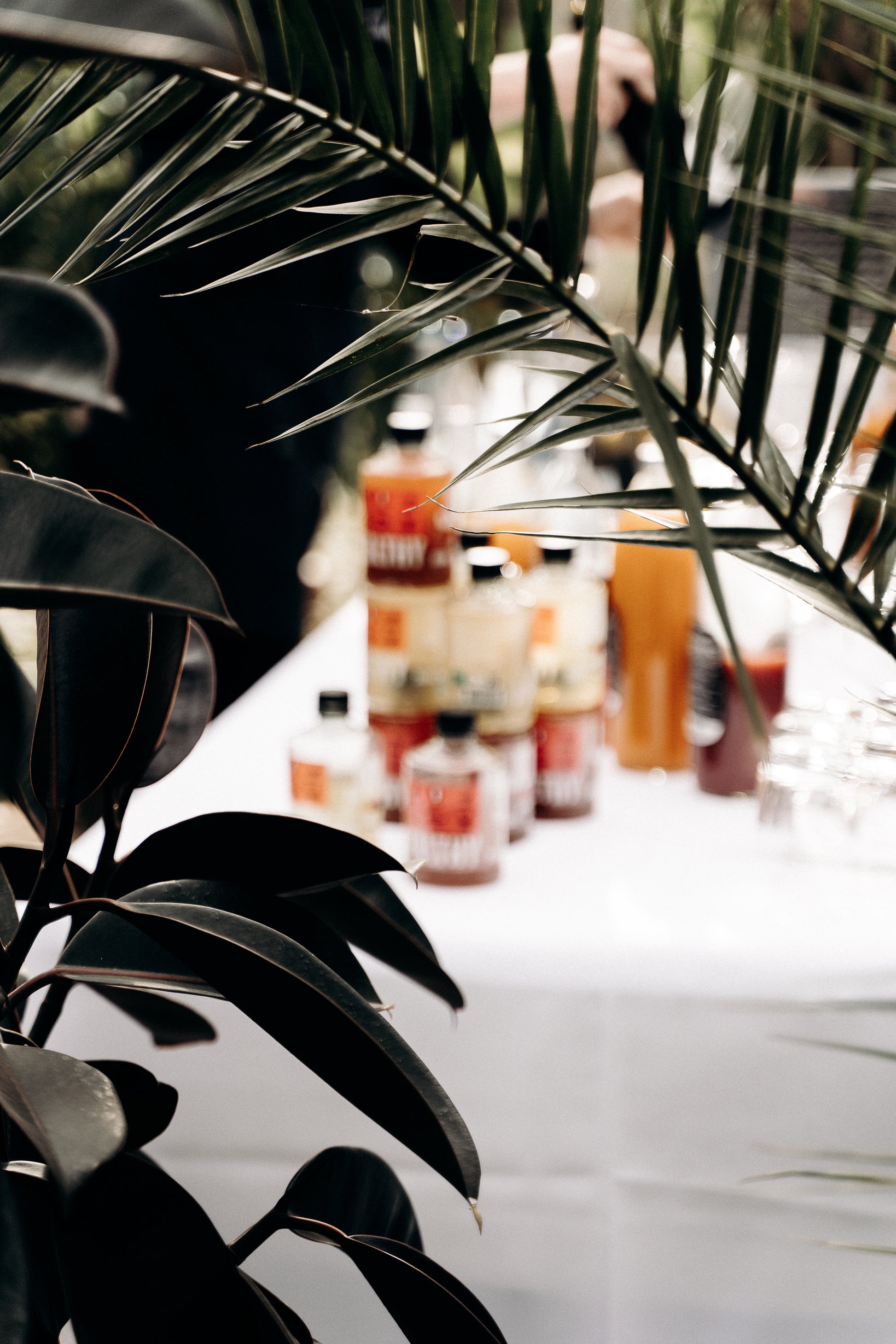 Cocktail chic dans les jardins de la Villa du Parc à Mulhouse
