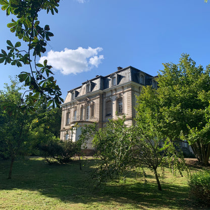 Château Lacour
